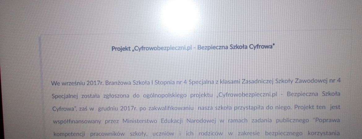 Opracowanie szkolnej strony www lub szkolnego fanpage na facebooku promującego bezpieczne wykorzystanie Internetu