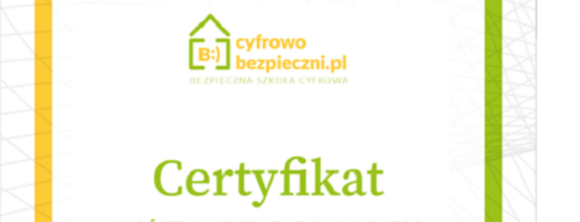 Kurs e-learningowy "Jak zapewnić bezpieczeństwo w sieci?