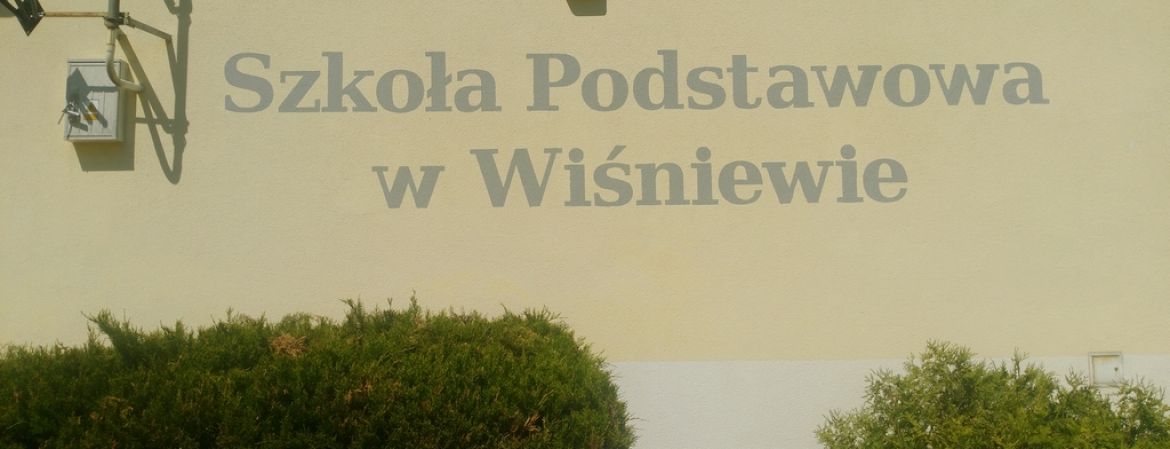 SDBC w Szkole Podstawowej w Wiśniewie