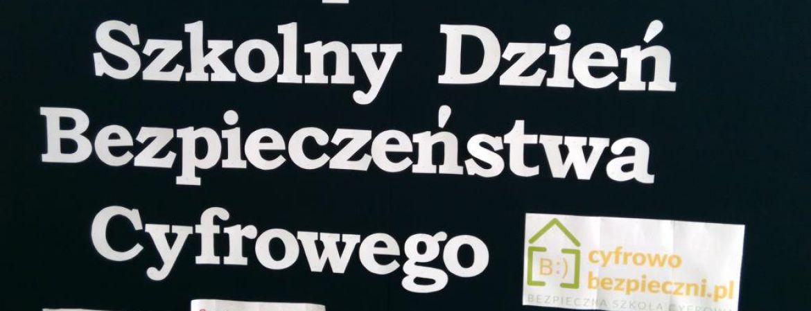 SDBC w Szkole Podstawowej w Ryńsku