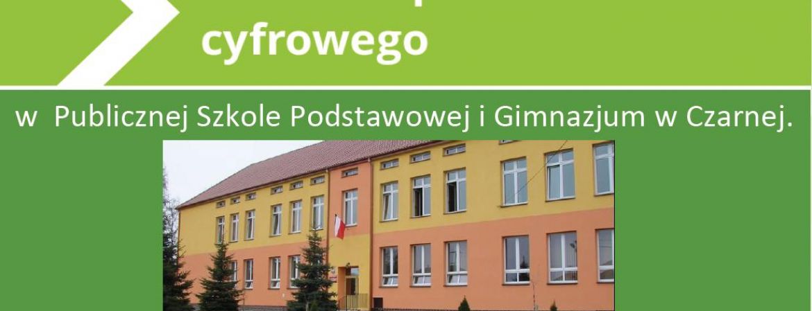 Przebieg SDBC w Publicznej Szkole Podstawoawej w Czarnej