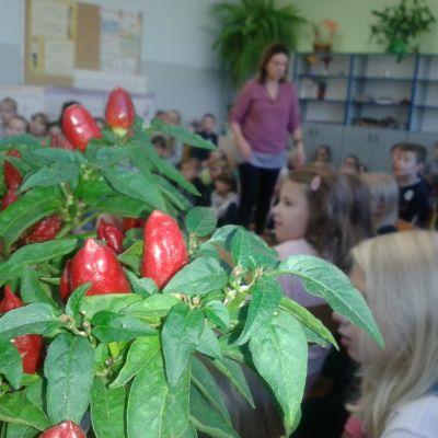 Szkony Dzień Bezpieczeństwa Cyfrowego w Szkole Podstawowej w Latowiczu