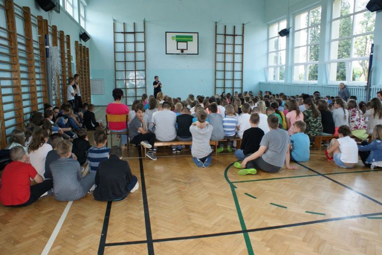 Szkoła Podstawowa im. Powstańców Wlkp. w Malanowie